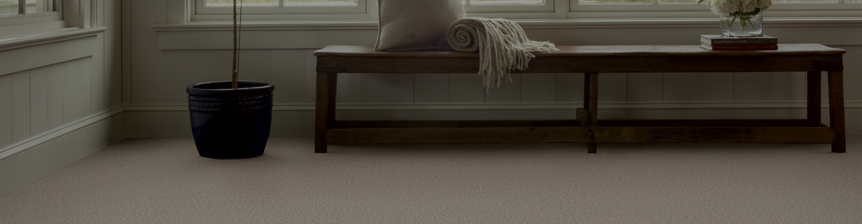 carpet in living room